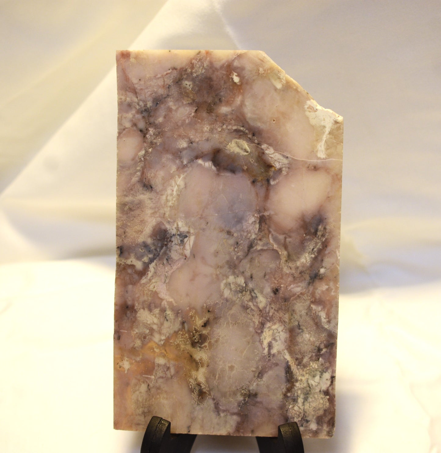 Utah Breccia Jasper