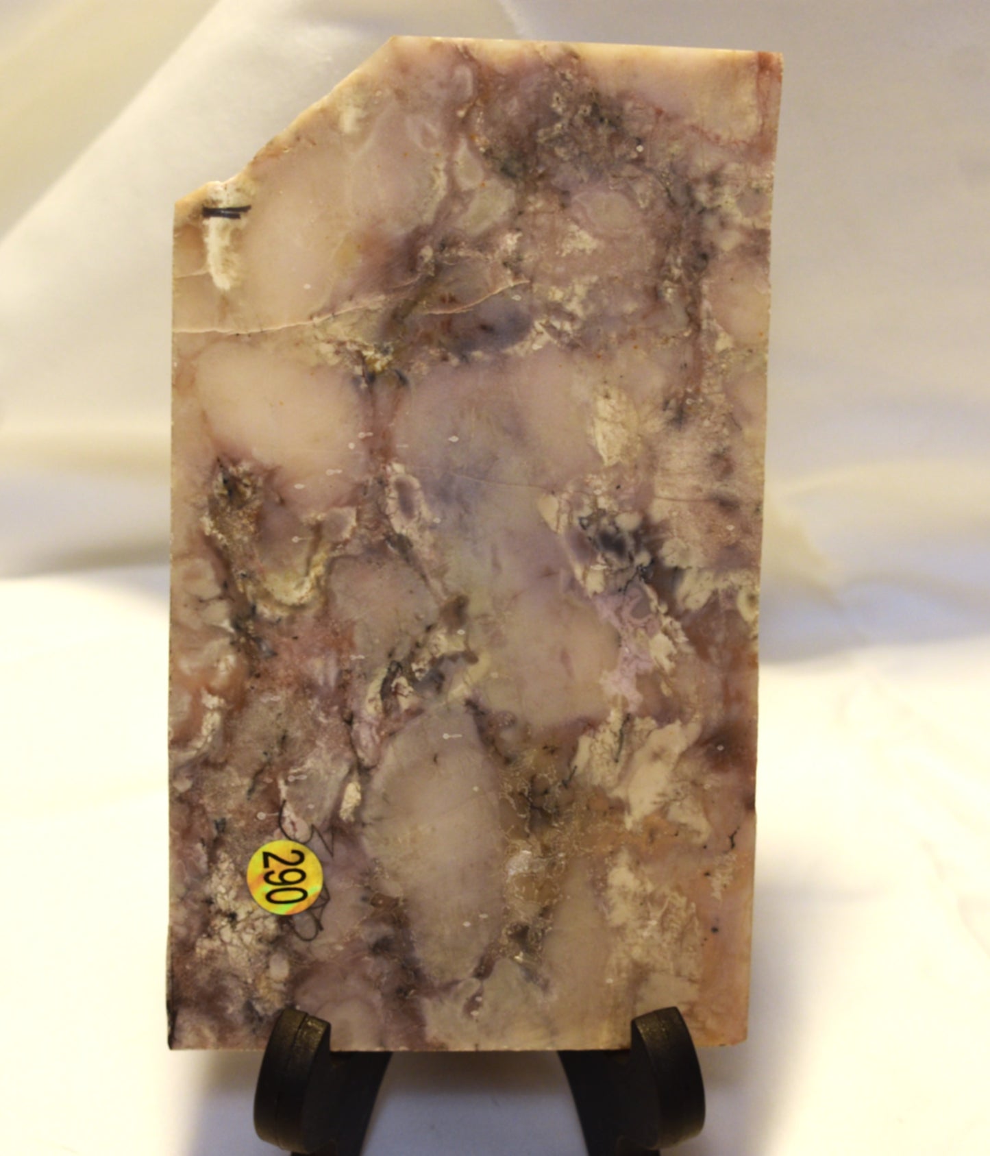 Utah Breccia Jasper
