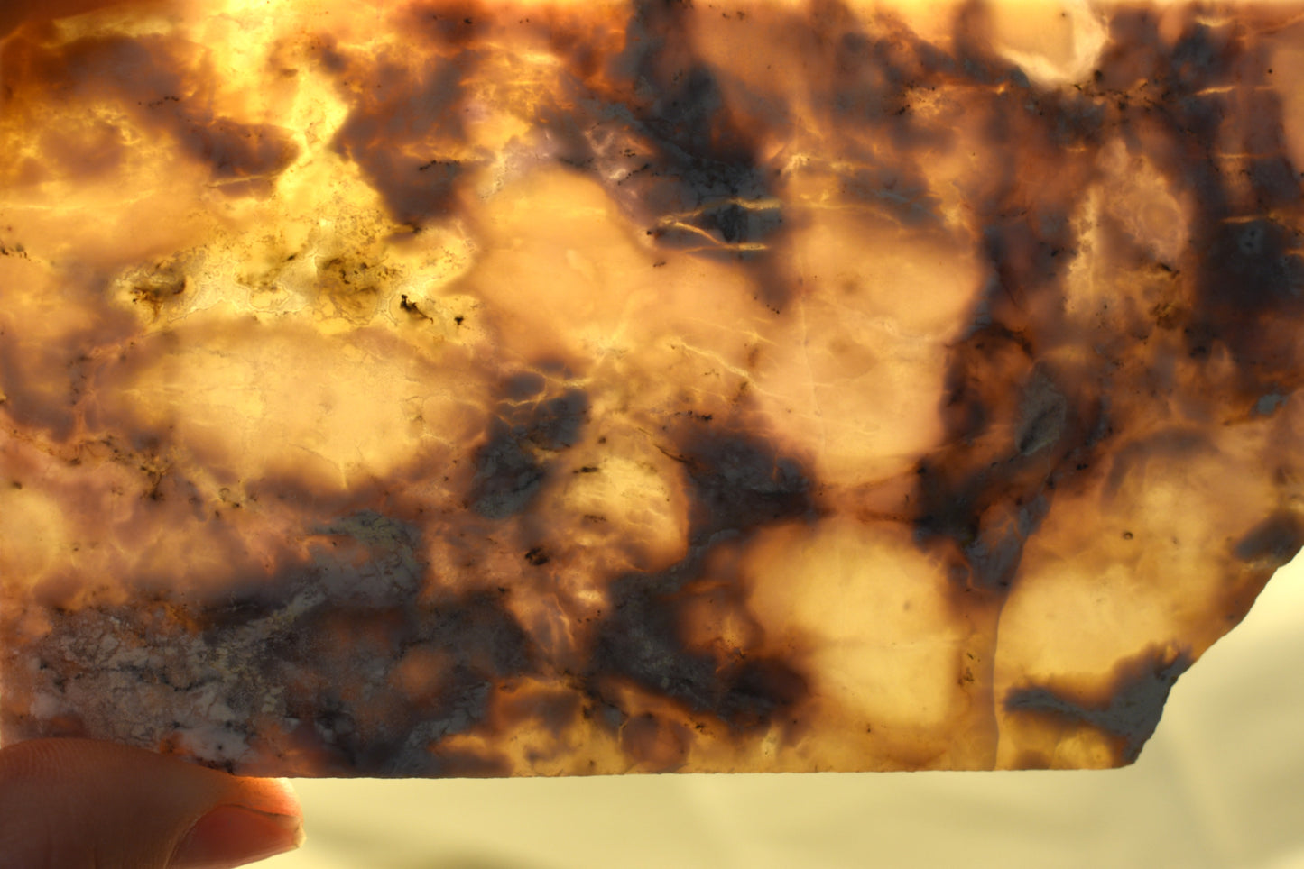 Utah Breccia Jasper