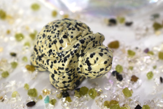 Dalmatian Jasper Turtle Carving