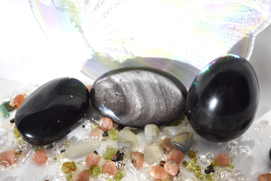 Black Obsidian Palm, Egg