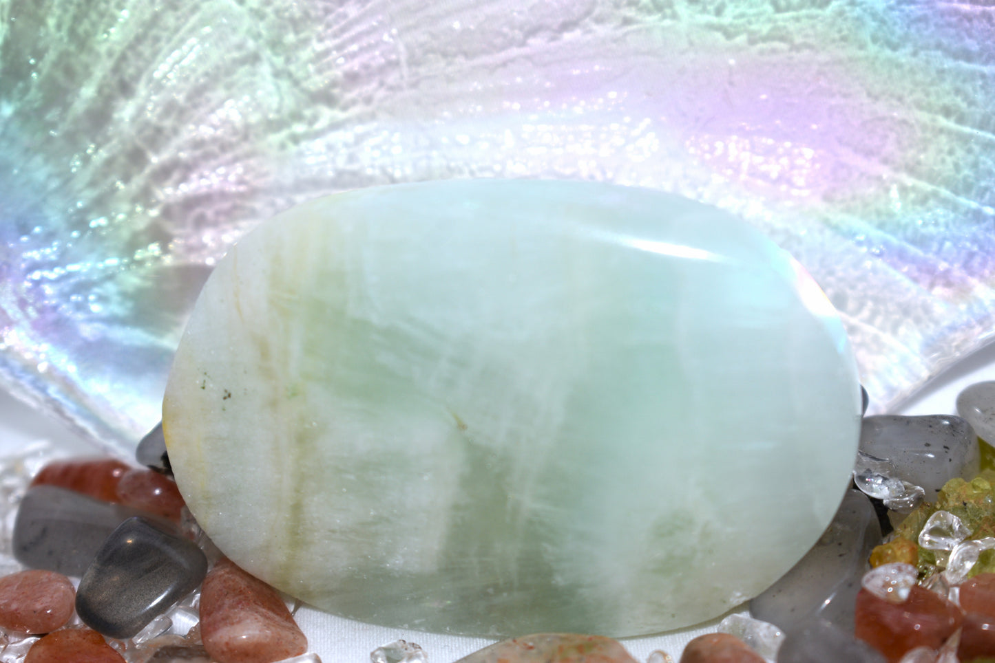 Caribbean Calcite Palm