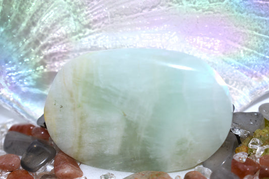 Caribbean Calcite Palm