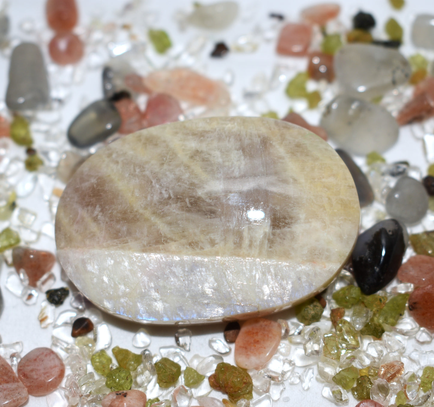 Moonstone Palm with blue flash