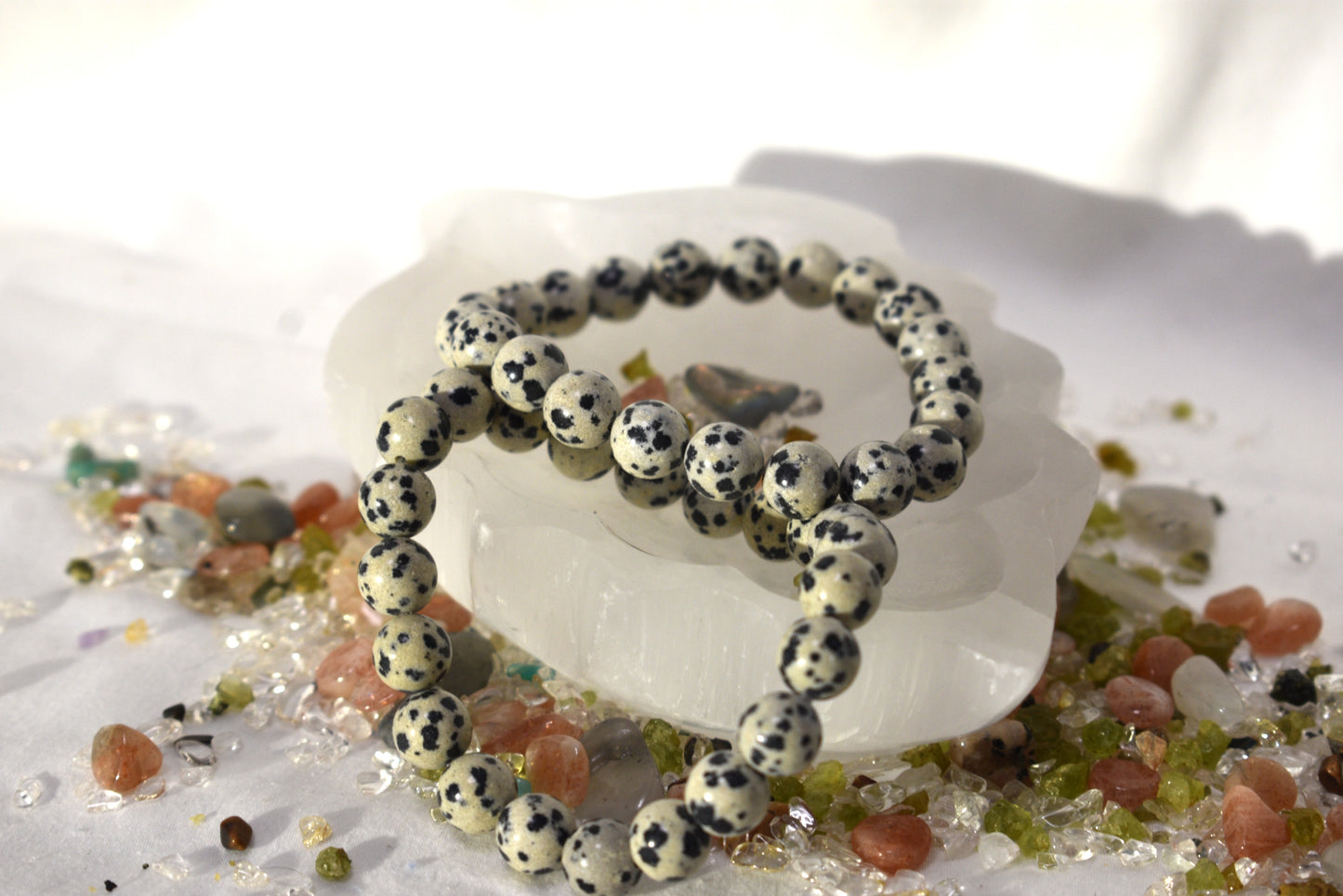Dalmatian Jasper Bracelet