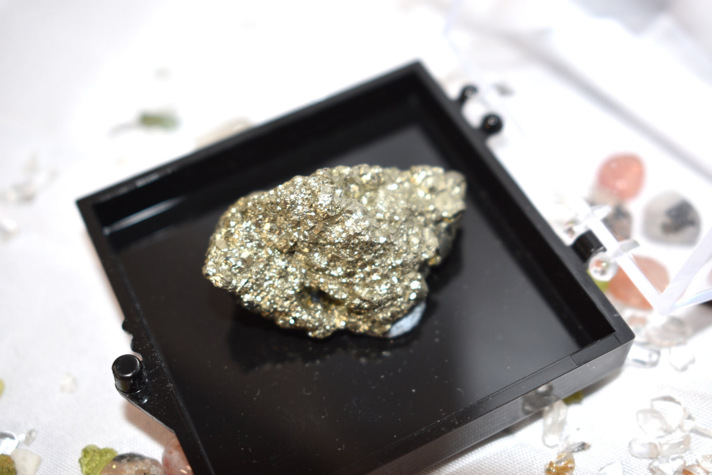 Raw Specimen Set in Cases