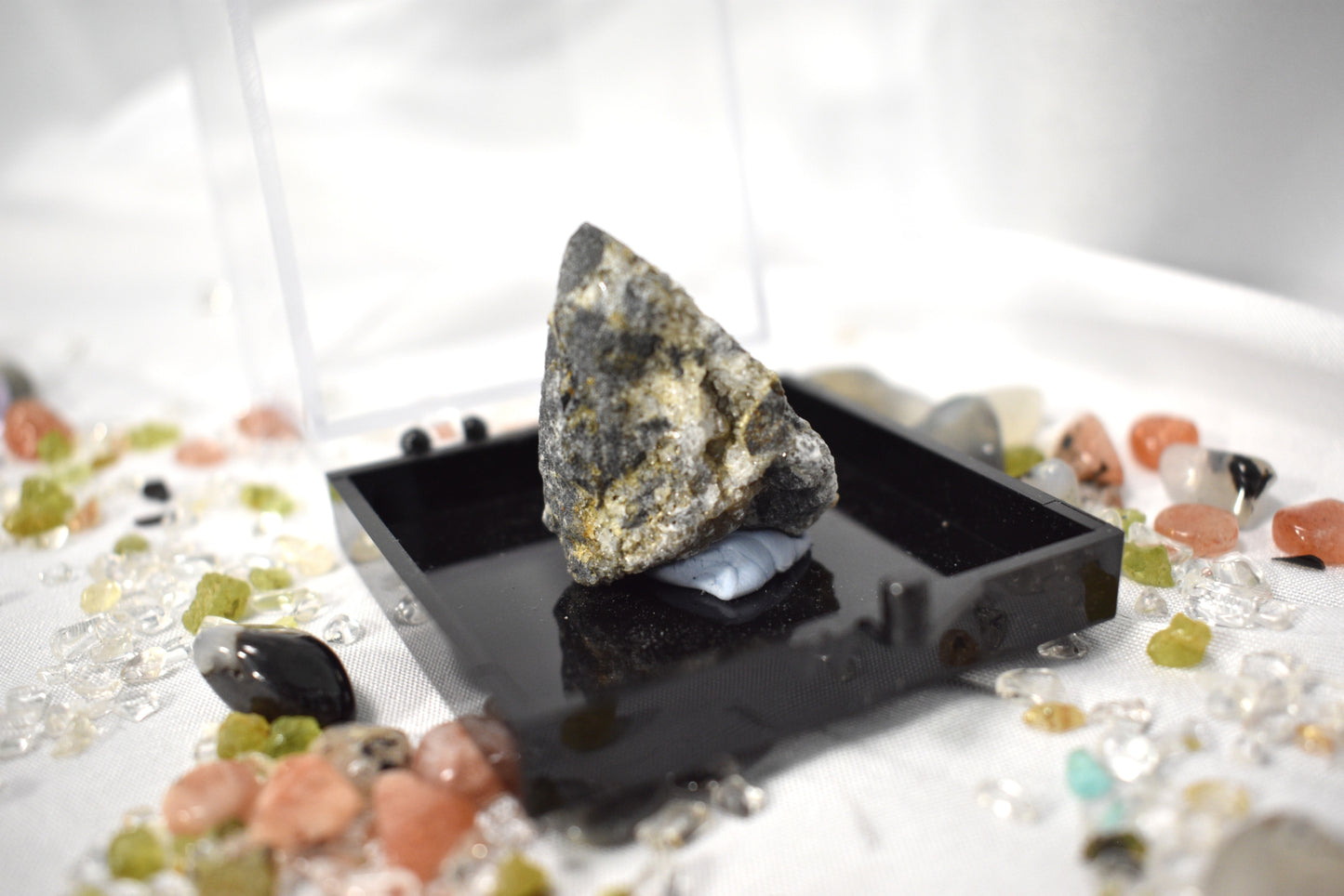 Raw Specimen Set in Cases